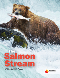 The Salmon Stream