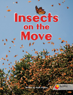 Insects on the Move
