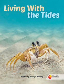Living With the Tides