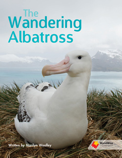 The Wandering Albatross