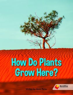 How Do Plants Grow Here?