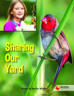 Sharing Our Yard
