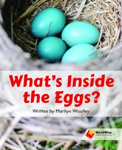 What's Inside the Eggs?