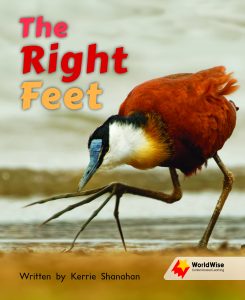 The Right Feet