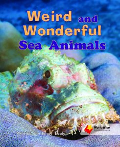 Weird and Wonderful Sea Animals