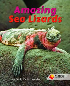 Amazing Sea Lizards